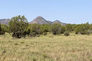 12700 Mad Man Mountain Rd, Williams, AZ 86046 - Photo 26