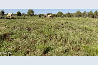 12700 Madman Mountain Road, Williams, AZ 86046 - Photo 6