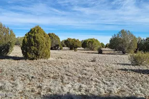 12700 Mad Man Mountain Rd, Williams, AZ 86046 - Photo 38