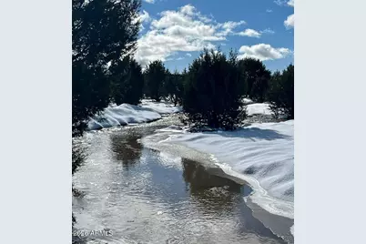 12700 Madman Mountain Road, Williams, AZ 86046 - Photo 14