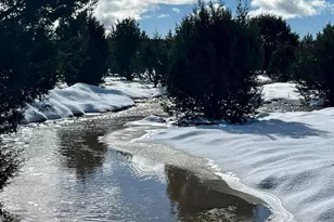 12700 Mad Man Mountain Rd, Williams, AZ 86046 - Photo 14