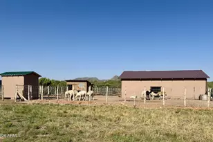 12700 Mad Man Mountain Rd, Williams, AZ 86046 - Photo 20