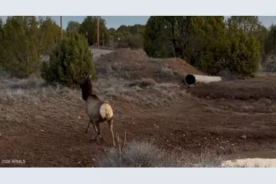12700 Madman Mountain Road, Williams, AZ 86046 - Photo 18