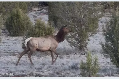 12700 Madman Mountain Road, Williams, AZ 86046 - Photo 16