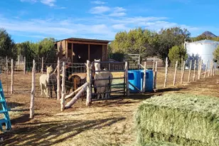 12700 Mad Man Mountain Rd, Williams, AZ 86046 - Photo 50