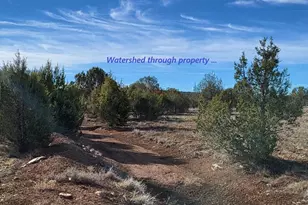 12700 Mad Man Mountain Rd, Williams, AZ 86046 - Photo 14