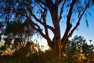 3201 E Colter St, Phoenix, AZ 85018 - Photo 32