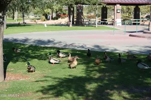 3357 W Sousa Dr, Anthem, AZ 85086 - Photo 46