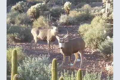 5236 S Marble Drive S, Gold Canyon, AZ 85118 - Photo 56