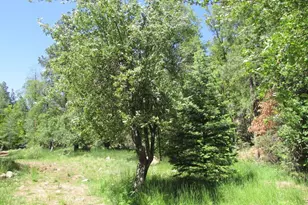 415 E Rim Estates Trail, Payson, AZ 85541 - Photo 42