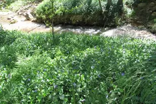 415 E Rim Estates Trail, Payson, AZ 85541 - Photo 38