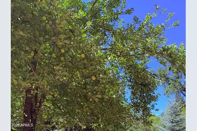 415 E Rim Estates Trail, Payson, AZ 85541 - Photo 38