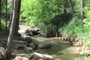 415 E Rim Estates Trail, Payson, AZ 85541 - Photo 40