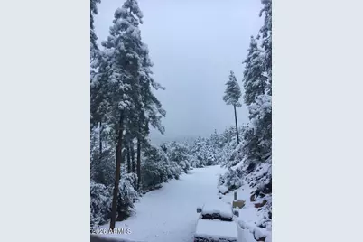 415 E Rim Estates Trail, Payson, AZ 85541 - Photo 66