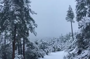 415 E Rim Estates Trail, Payson, AZ 85541 - Photo 66