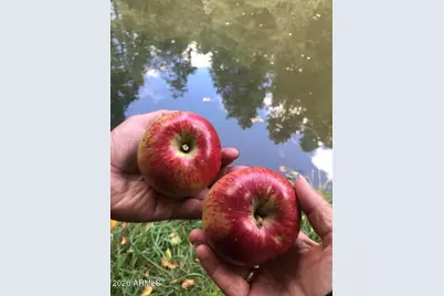 415 E Rim Estates Trail, Payson, AZ 85541 - Photo 60