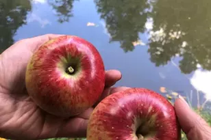 415 E Rim Estates Trail, Payson, AZ 85541 - Photo 60