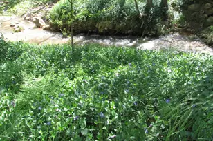 415 E Rim Estates Trail, Payson, AZ 85541 - Photo 74