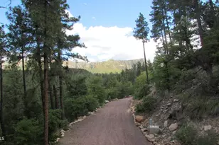 415 E Rim Estates Trail, Payson, AZ 85541 - Photo 68