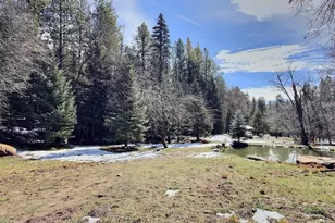 415 E Rim Estates Trail, Payson, AZ 85541 - Photo 54