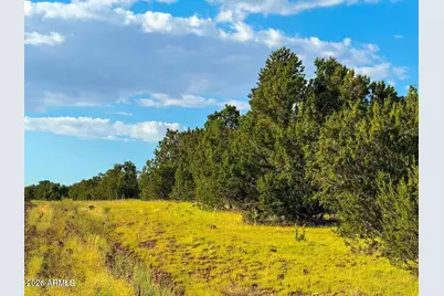 6482 N Pinonharvest Boulevard Boulevard #-, Williams, AZ 86046 - Photo 6