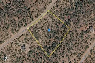 5010 Sunset Ridge Loop, Happy Jack, AZ 86024 - Photo 1