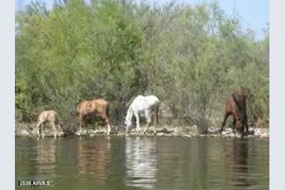 3721 E Adobe Street, Mesa, AZ 85205 - Photo 46