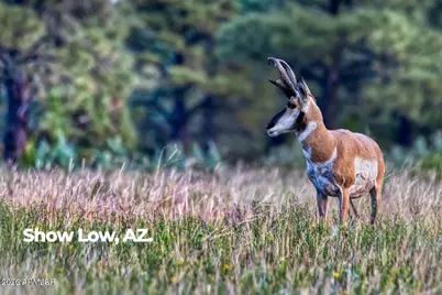 4520 W Tatanka Loop #A5, Show Low, AZ 85901 - Photo 34