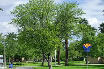 2254 N 15th Avenue, Phoenix, AZ 85007 - Photo 46