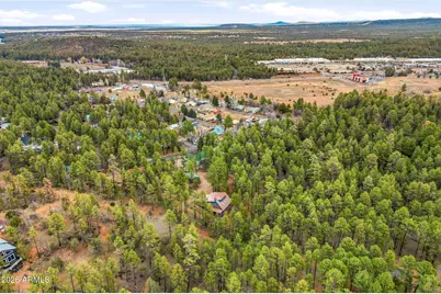 1041 E White Tail Drive, Show Low, AZ 85901 - Photo 48
