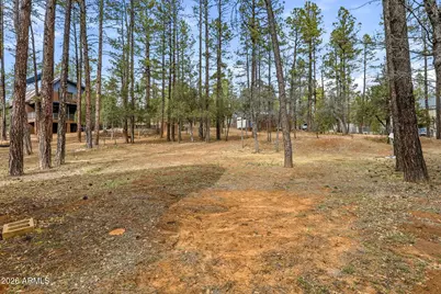 1041 E White Tail Drive, Show Low, AZ 85901 - Photo 44