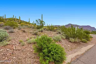 3708 South Vista Loop, Gold Canyon, AZ 85118 - Photo 8