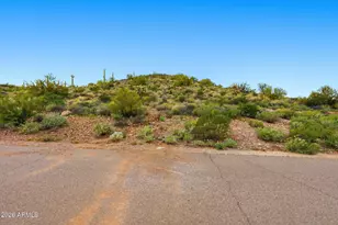 3740 South Vista Loop, Gold Canyon, AZ 85118 - Photo 4