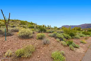 3768 South Vista Loop, Gold Canyon, AZ 85118 - Photo 12