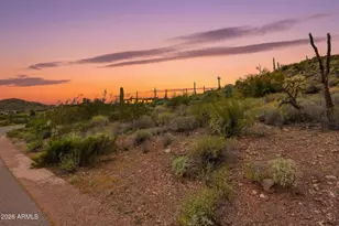 3768 South Vista Loop, Gold Canyon, AZ 85118 - Photo 30
