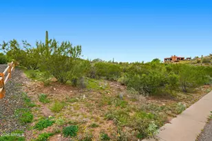 3793 South Vista Loop, Gold Canyon, AZ 85118 - Photo 12