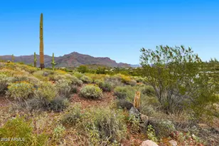 3876 South Veronica Lane, Gold Canyon, AZ 85118 - Photo 12