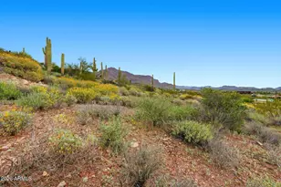 9371 E Dianna Dr, Gold Canyon, AZ 85118 - Photo 10