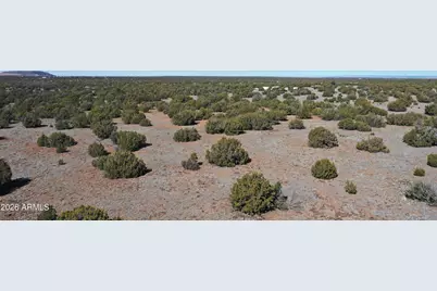 33 Acr 8067 -- #1790 & 1791, Concho, AZ 85924 - Photo 22