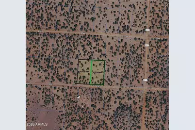 33 Acr 8067 -- #1790 & 1791, Concho, AZ 85924 - Photo 1