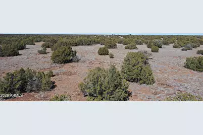 33 Acr 8067 -- #1790 & 1791, Concho, AZ 85924 - Photo 6