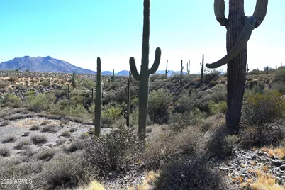 7Xxx N 80th Street #'-', Cave Creek, AZ 85331 - Photo 10