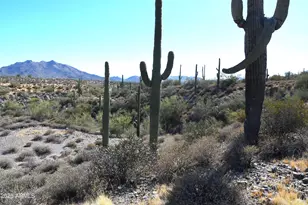 7Xxx N 80th St, Cave Creek, AZ 85331 - Photo 10