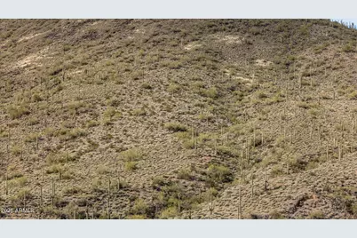 7Xxx N 80th Street #'-', Cave Creek, AZ 85331 - Photo 22