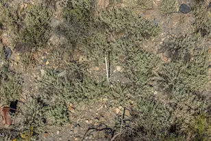 7Xxx N 80th St, Cave Creek, AZ 85331 - Photo 10