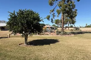 9902 W Raintree Dr, Sun City, AZ 85351 - Photo 4