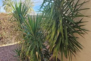 830 W America St, Wickenburg, AZ 85390 - Photo 6