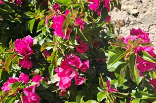 830 W America St, Wickenburg, AZ 85390 - Photo 38