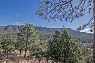 6169 W Skyview Circle, Pine, AZ 85544 - Photo 20