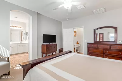 903 W Sisso Tree Avenue, San Tan Valley, AZ 85140 - Photo 16